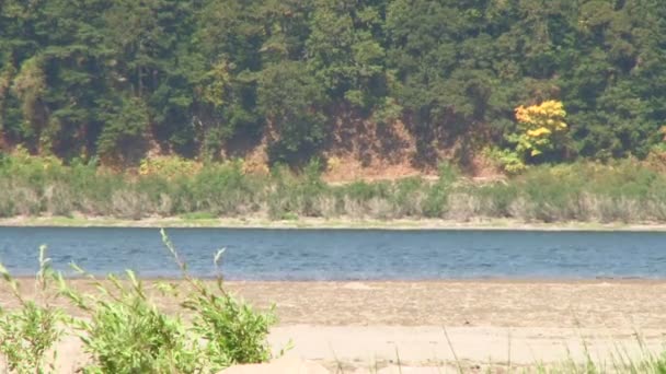 Yarış botu tarafından columbia river gorge hızlandırır.. — Stok video