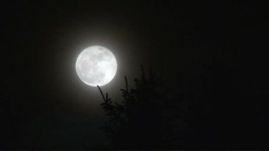 The Super Moon