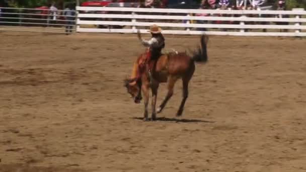 Bareback bronc rijden — Stockvideo