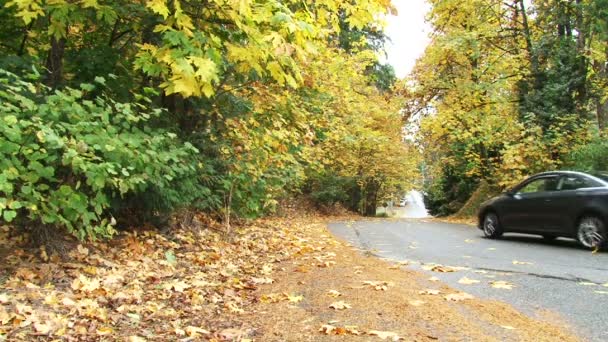 Auto rijden herfst weg — Stockvideo