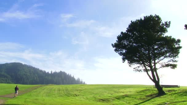 Homme marchant sur le long chemin 