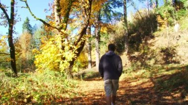 adam sonbaharda orman yolu düşen yapraklar oregon ormanda dolu aşağı yürür.