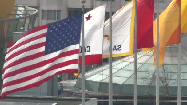 Drapeaux américains et autres sur le fond des gratte-ciel — Video