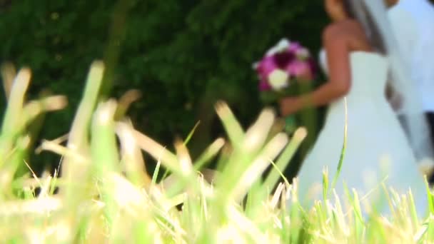 Novia y novio caminando juntos en el bosque el día de su boda . — Vídeo de stock