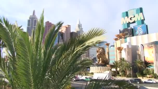 Взгляды дня в Лас-Вегасе — стоковое видео