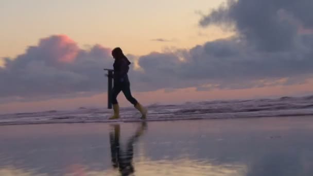 Woman with clamming gun walk Pacific Ocean in search for razor clams at sunset, zoom out and tilt up to sky. — Stock Video