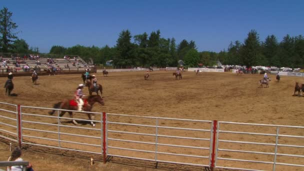 Cowboys em cavalos — Vídeo de Stock