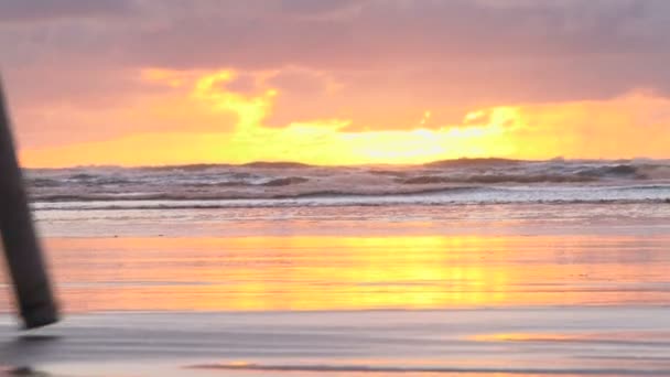 avec des pistolets clamming marcher océan Pacifique à la recherche de palourdes rasoir au coucher du soleil, zoom arrière et incliner vers le ciel .