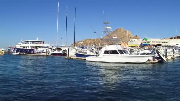 Barcos atracados no porto — Vídeo de Stock