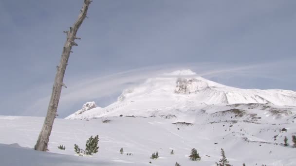 Besneeuwde hellingen in de winter — Stockvideo