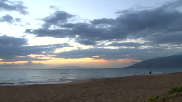 マウイ島、ハワイの海岸のビーチを歩いて家族と夕日. — ストック動画