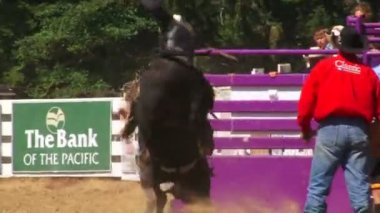 Rodeo bull binme trajedi