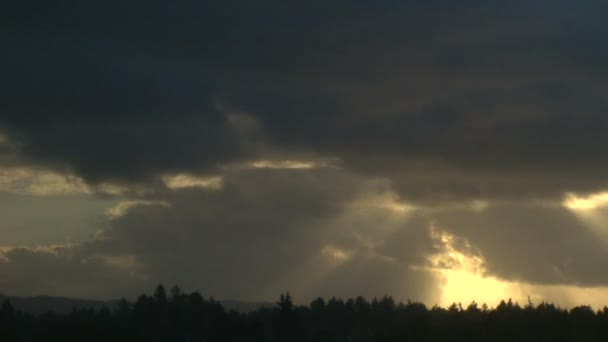 Sol en las nubes sobre el bosque — Vídeo de stock