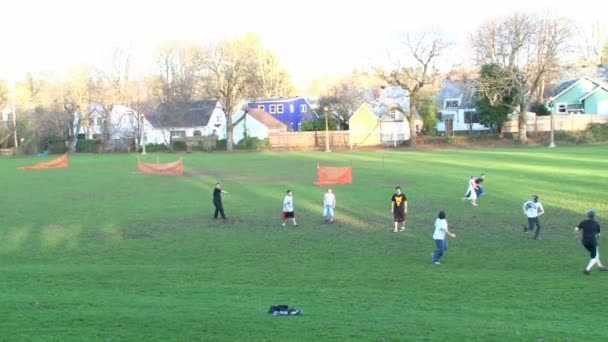 Boys playing rugby on the grass — Stock Video