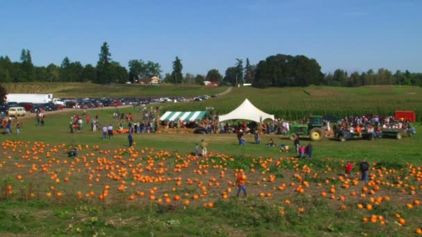 Familj i pumpkin patch solig dag i portland, oregon under skörd. — Stockvideo