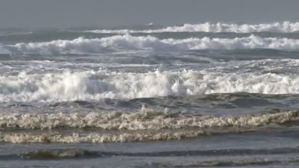 Onde océanique — Video