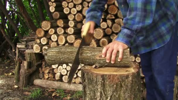 Homem usa serra manual e madeira cortada para pilha de madeira . — Vídeo de Stock