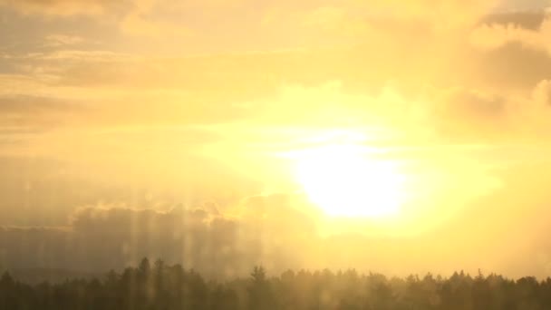 Ήλιο στα σύννεφα πάνω από το δάσος — Αρχείο Βίντεο