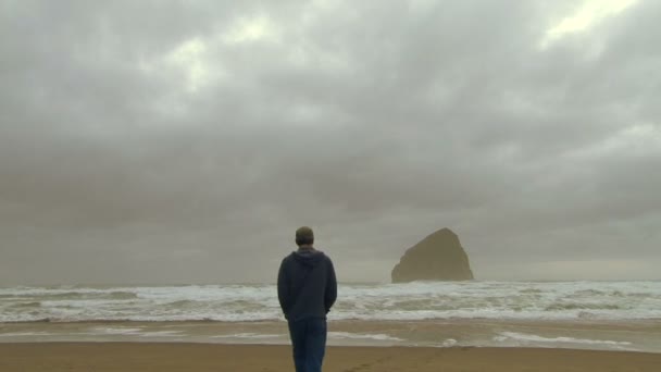 Rocas en el mar — Vídeo de stock