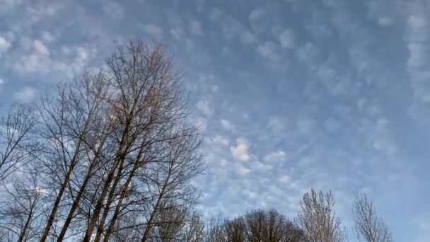Caducidad Tiempo Interesante Formación Nubes Pasando Través Del Cielo Azul — Vídeo de stock