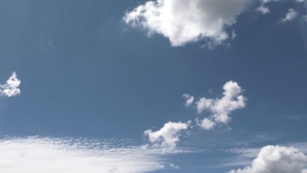 Cielo Azul Aspecto Fresco Limpio Con Nubes Esponjosas Formando Lapso — Vídeos de Stock