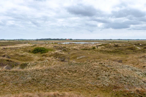 Vista Sobre Paisaje Dunas Parque Nacional Slufter Isla Texel Países — Foto de Stock