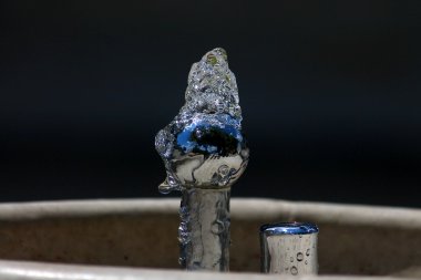 Su.