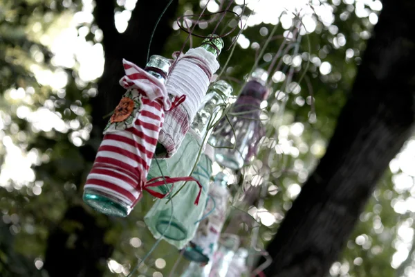 Glass bottle hanging from tree — Stock Photo, Image