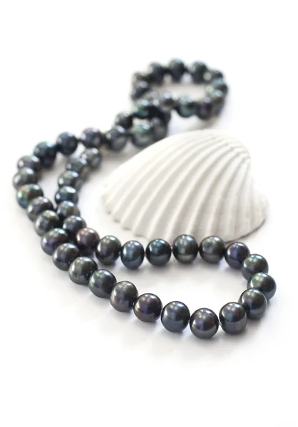 Black pearls and sea shell — Stock Photo, Image