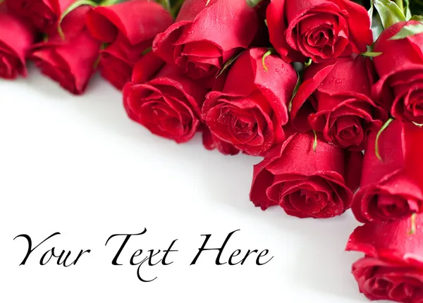 Red roses — Stock Photo, Image