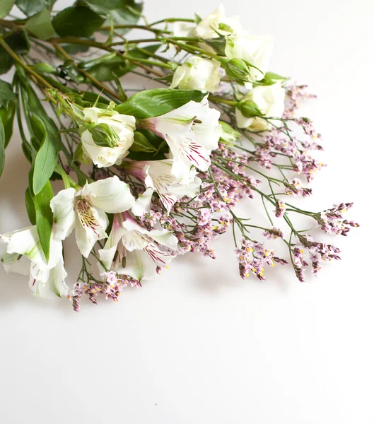 Vita och rosa blommor — Stockfoto