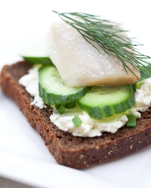 Canape with herring, cream cheese and cucumber — Stock Photo, Image