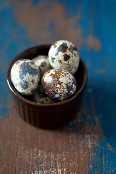 Fresh quail eggs — Stock Photo, Image