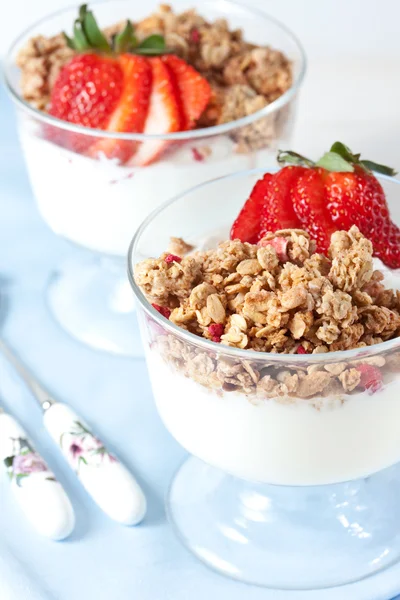 Muesli con yogurt greco — Foto Stock