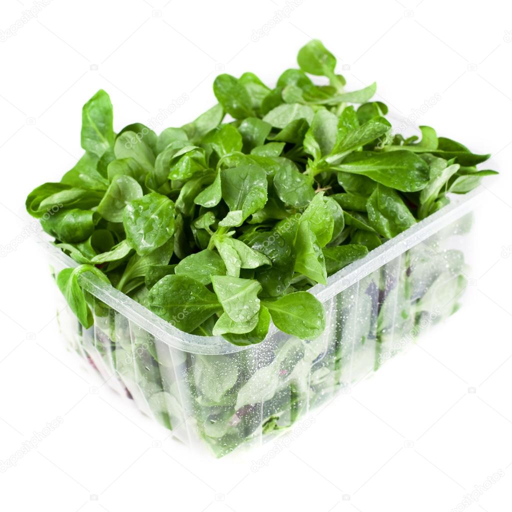 Container with freash salad leaves
