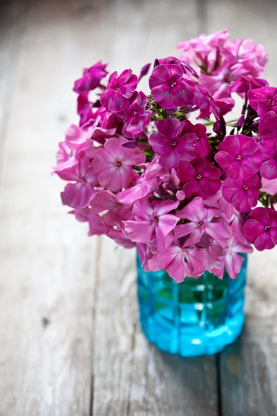 Rosa Blüten — Stockfoto