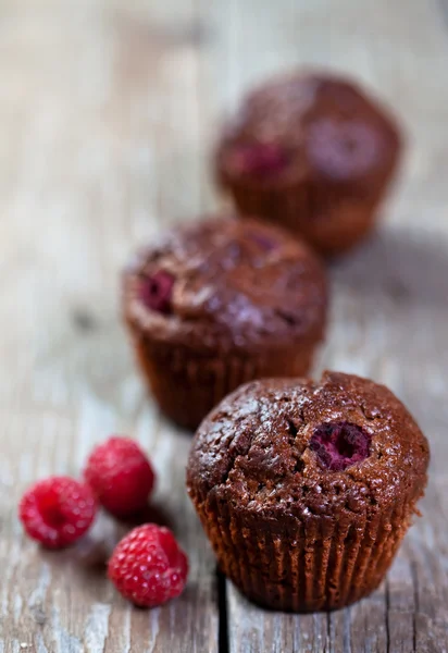 Magdalenas de chocolate y frambuesa — Foto de Stock