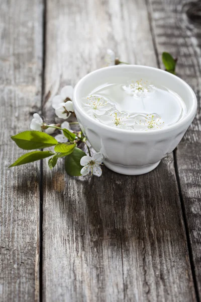 Ciruela en flor — Foto de Stock