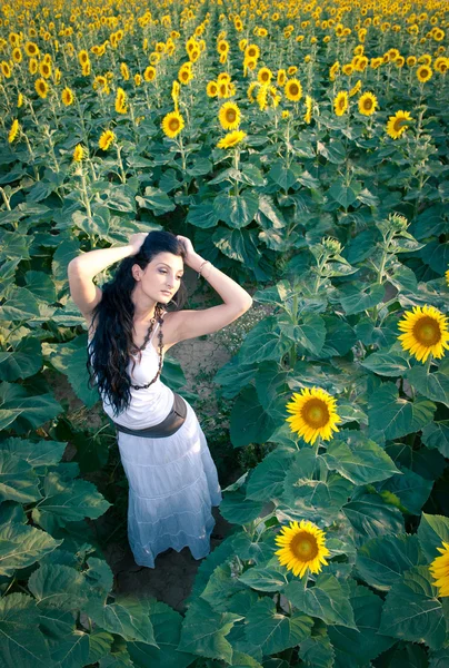 Jovem mulher bonita em um campo de girassol com vestido branco . — Fotografia de Stock