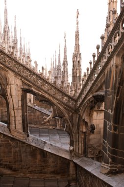 ayrıntı Milan Gotik Katedrali. İtalya