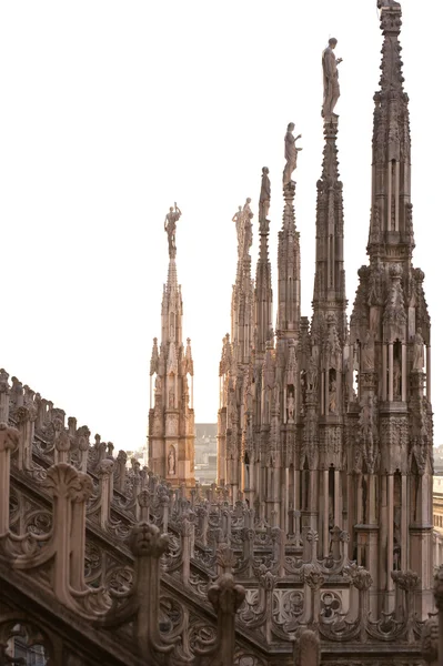 Detalhe da catedral gótica de Milão. Itália — Fotografia de Stock