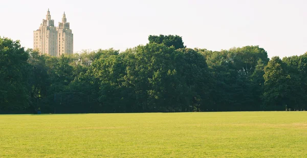 Empty grass in Central Park, New York City — Stock Photo, Image