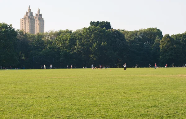 Enjoying outdoors activities Central Park in New York. — Stock Photo, Image