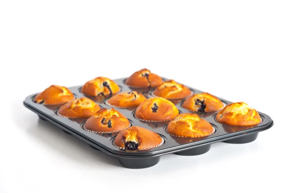 Bandeja de muffins de arándanos aislados sobre fondo blanco — Foto de Stock