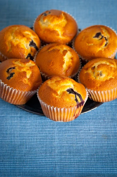 Grupo de muffins de mirtilo em fundo azul com copyspace — Fotografia de Stock