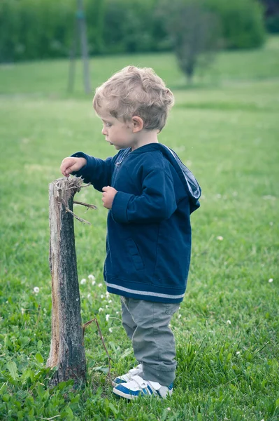 Um ano menino brincando no parque retrato — Fotografia de Stock