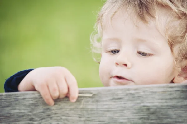 Retrato de niño pequeño —  Fotos de Stock