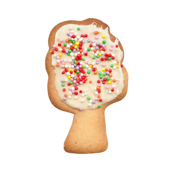 Één koekje geïsoleerd op witte achtergrond — Stockfoto