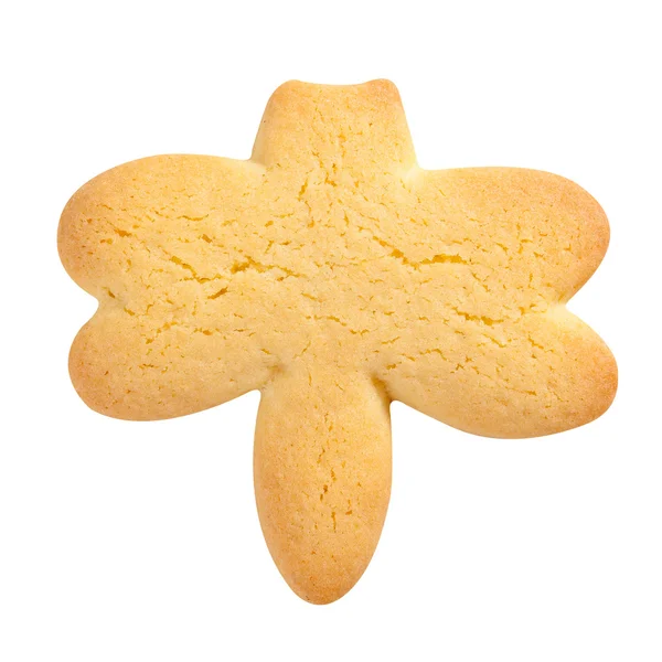 Домашнє печиво ізольовано на білому тлі. Форма бабки — стокове фото