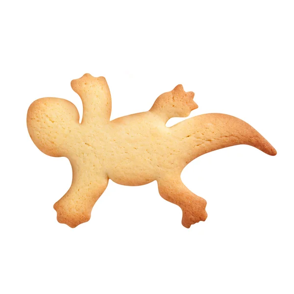 Σπιτικό μπισκότο που απομονώνονται σε λευκό φόντο. Gecko σχήμα — Φωτογραφία Αρχείου